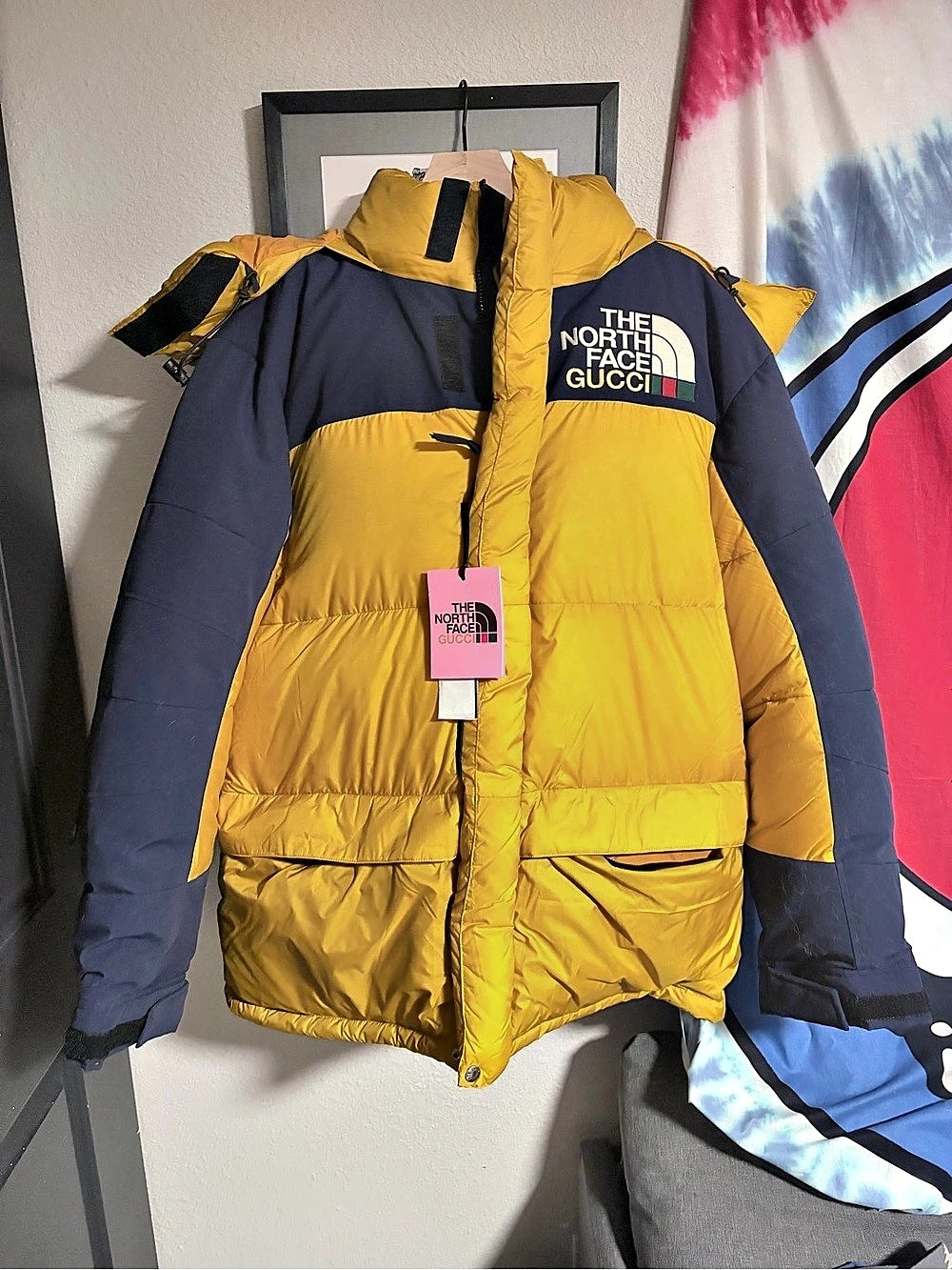 The North Face x Gucci Puffers Yellow Blue Size L